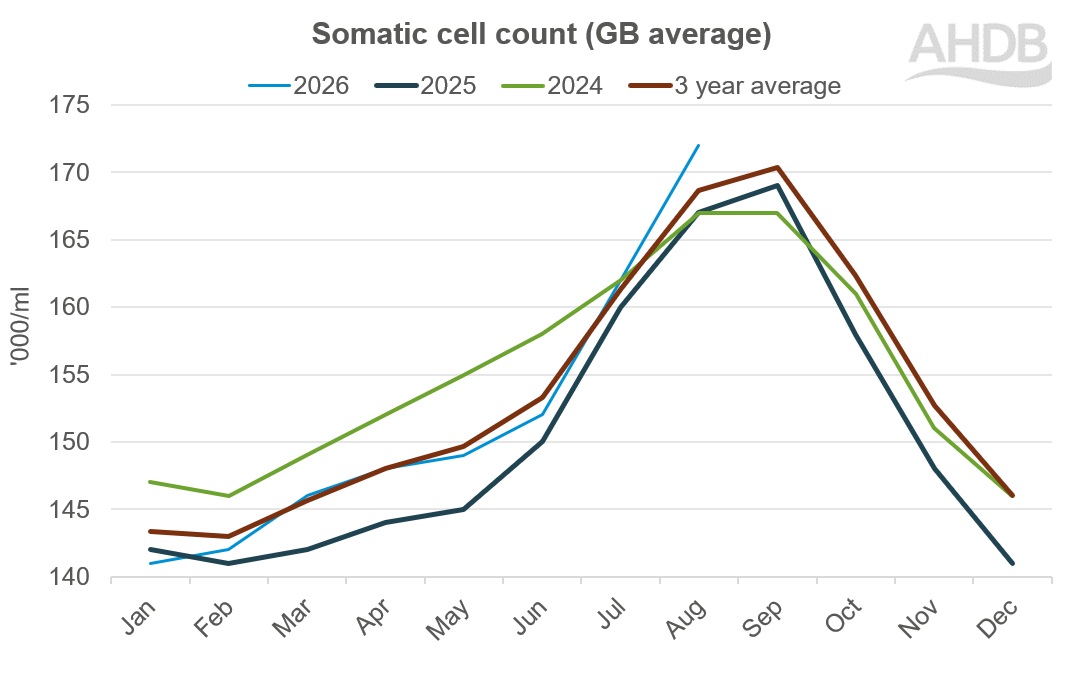  Line graph showing somatic cell count GB average 2024 to 2026.